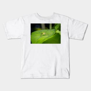 Striped lynx spider saying "come at me, bro!" Kids T-Shirt